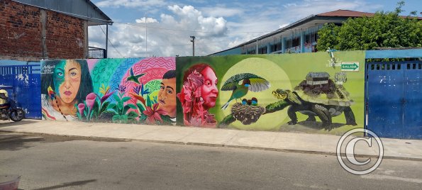 Mural on Sgto Tejada near Monsenor Atanasio Jauregui (2)