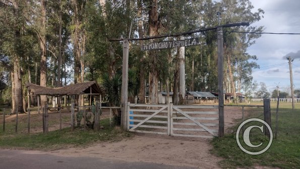 Parque Rivera (5)