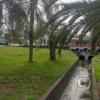Parque Oriental at Blvd. Pres. Pedro Viera y Av. Sarandi (3)