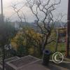 view (2)