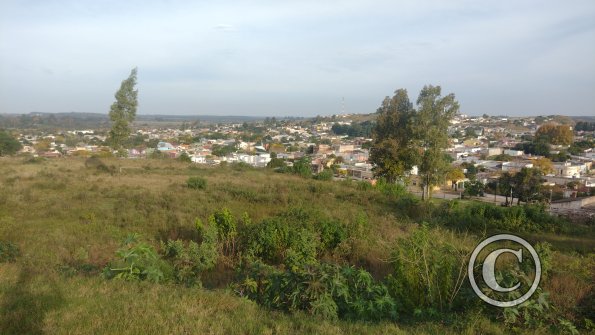 view (4)