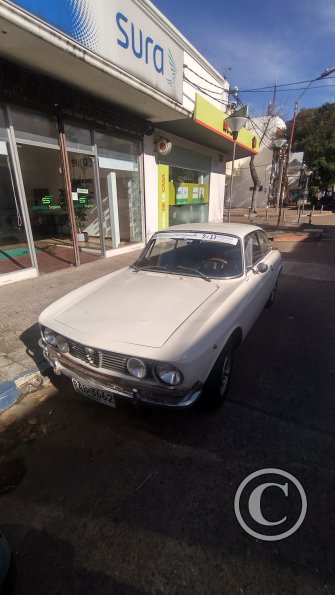 Old Alfa Romeo (2)