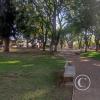 Plaza Colon