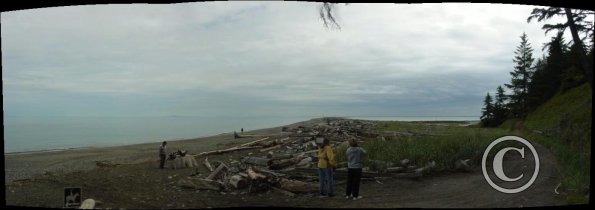 dungeness-spit-1_18110503801_o