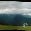 hurricane-ridge-1_18083019526_o