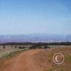 looking-east4