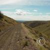 tarpiscan road 2