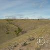 tarpiscan road 3