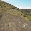 tarpiscan road 4