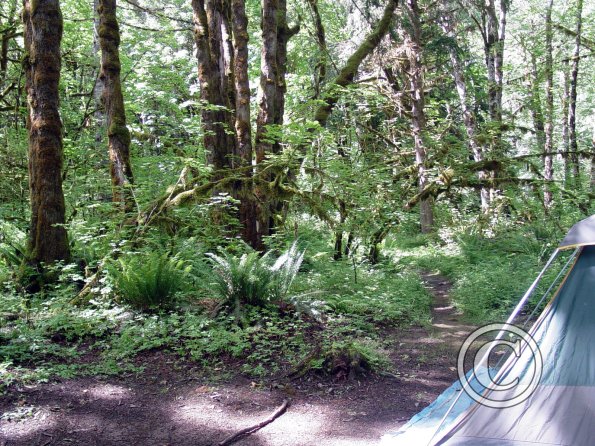 lena-creek-campground-1_17923420769_o