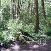 lena-creek-campground-2_17921939210_o