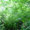 lena-creek-campground-7_18106219422_o
