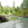 lena-creek-campground-hamma-hamma-river-2-large_22126967189_o