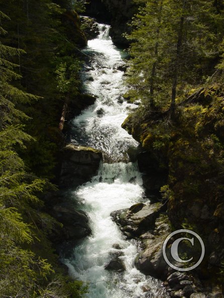 lena-creek-campground-hamma-hamma-river-3_17489121023_o