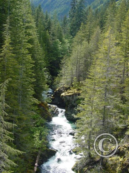 lena-creek-campground-hamma-hamma-river-4-large_22126962449_o