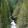 lena-creek-campground-hamma-hamma-river-4_17921782358_o