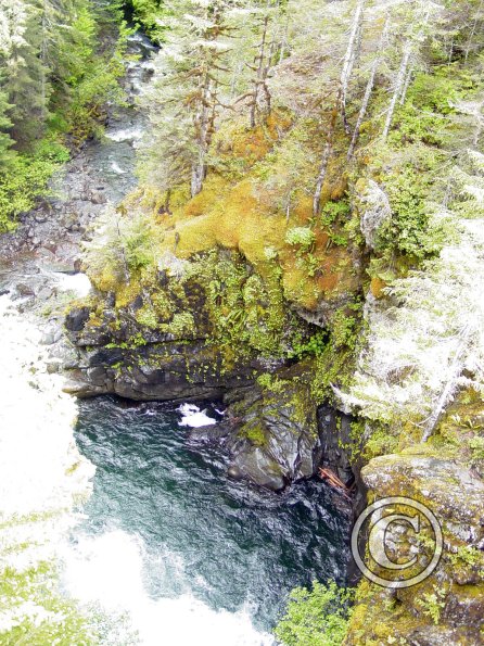 lena-creek-campground-hamma-hamma-river-5_17921996910_o
