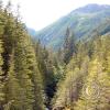 lena-creek-campground-hamma-hamma-river-6_17922002120_o