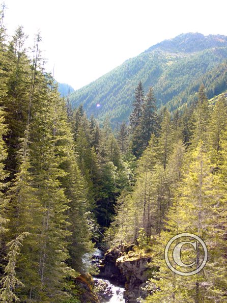 lena-creek-campground-hamma-hamma-river-6_17922002120_o