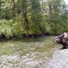 lena-creek-campground-hamma-hamma-river_17487104864_o
