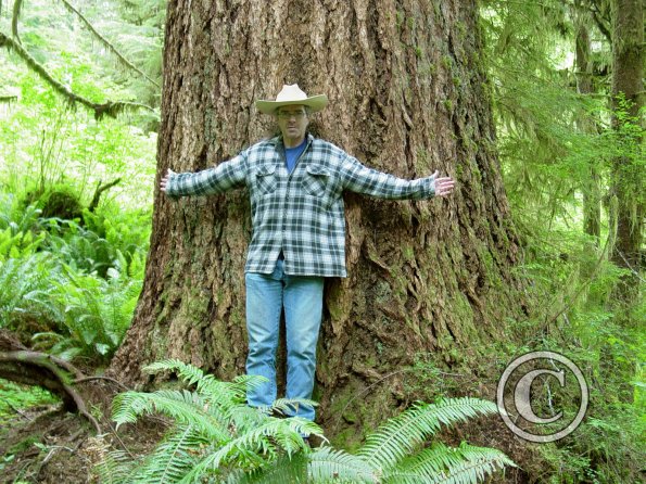 normal-size-douglas-fir---chip_17921816418_o