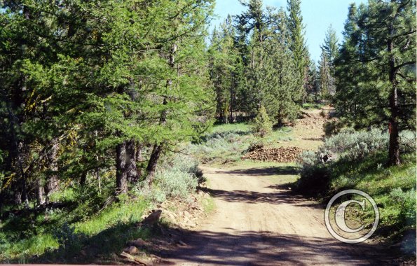 colockum-pass-road4_17919924788_o