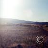 grassland_17485307374_o