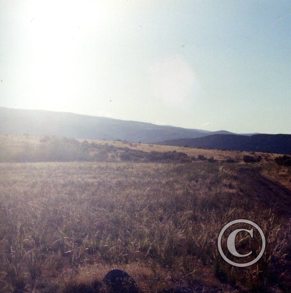 grassland_17485307374_o