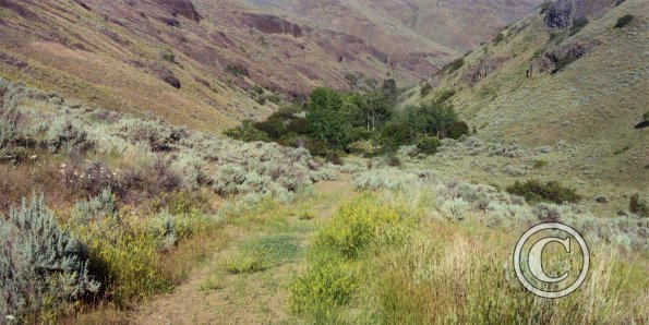gulch-road_17920223950_o