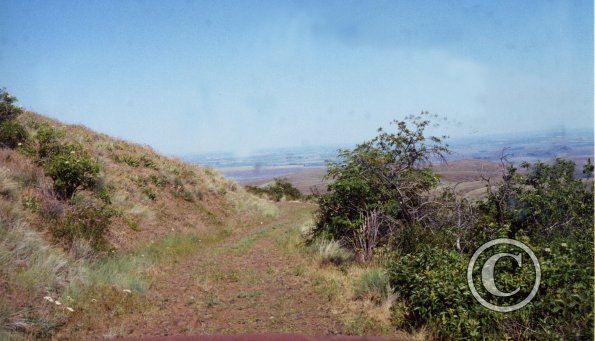 looking-east2_18109005591_o