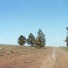 red-rock-meadow2_18081618776_o