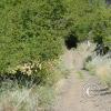 brewton-gulch-rd-5_17920271148_o