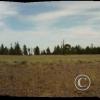 little-brushy-rd---1_17920329658_o