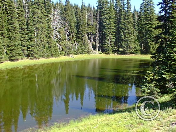 pic00003