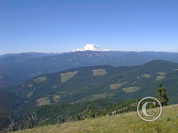 pic00021