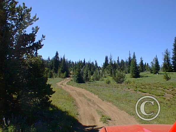 pic00025