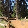 pic00029