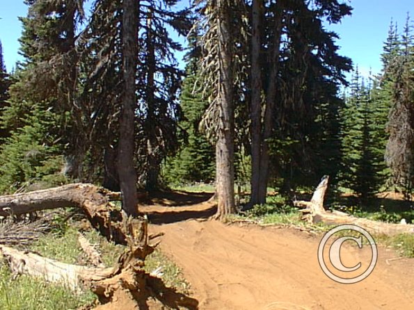pic00029