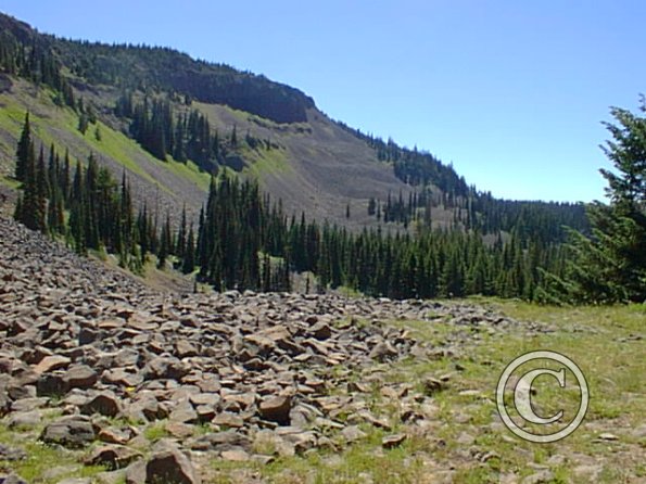 pic00030
