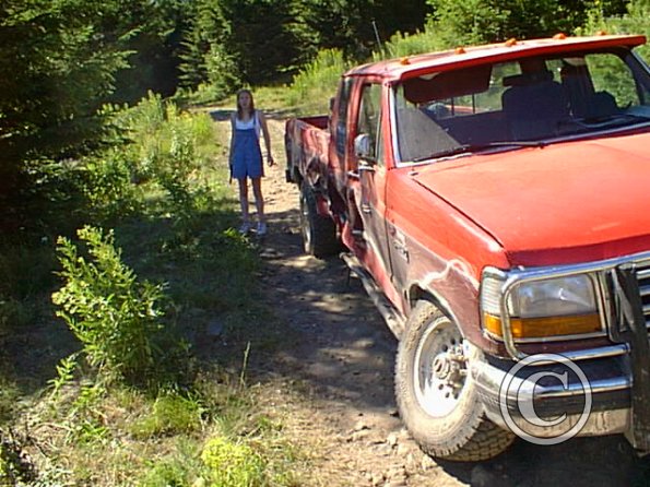 pic00033