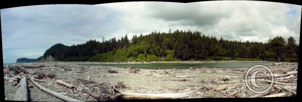ruby beach looking inland