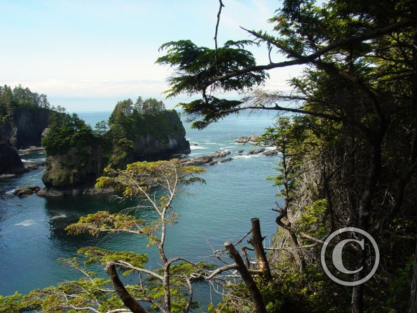 cape flattery south 1
