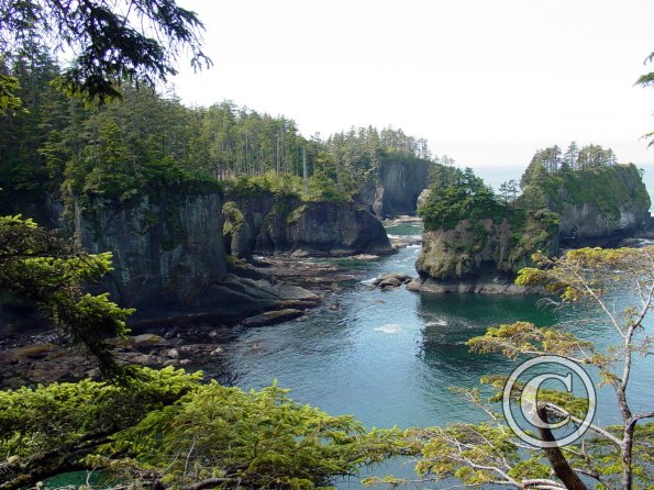 cape flattery south 2