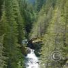 lena creek campground hamma hamma river 4