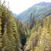 lena creek campground hamma hamma river 6