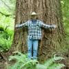 normal size douglas fir - chip