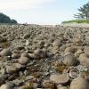 cape alava - canonball island