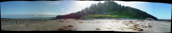 cape alava