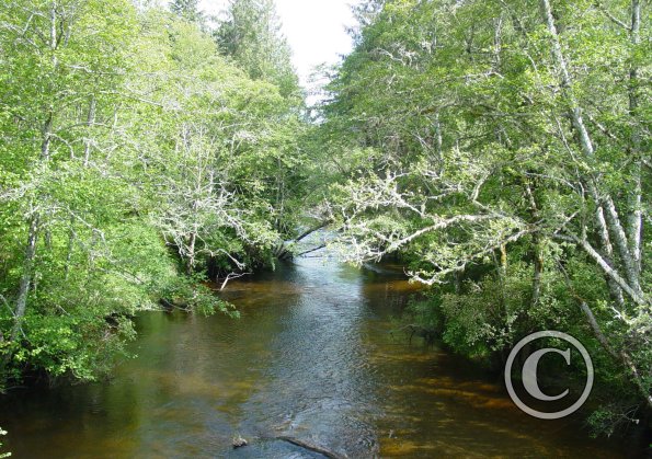 ozette river