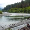 quinalt river 2